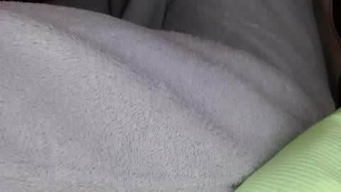 Mister Jean Nemar online show from January 18, 2026, 8:12 pm