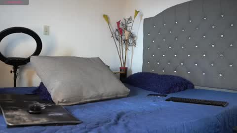 Luis    Instagram   online show from February 17, 2025, 4:15 pm