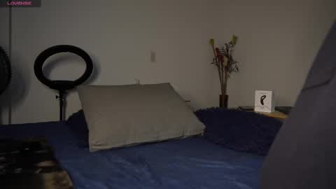 Luis    Instagram   online show from February 23, 2025, 7:28 pm