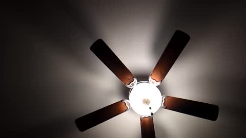 mrorange50187 online show from December 1, 2024, 10:21 pm