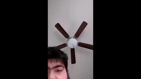 mrorange50187 online show from December 11, 2024, 8:07 pm