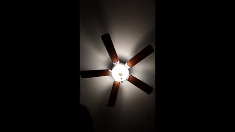 mrorange50187 online show from December 18, 2024, 12:32 am