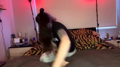 Snapshot of mrs_and_his_kitten chatting on January 17, 2025, 7:41 am mrs_and_his_kitten online show from January 17, 2025, 7:41 am