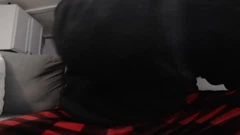 mrshlongboy21 online show from January 25, 2025, 2:47 am