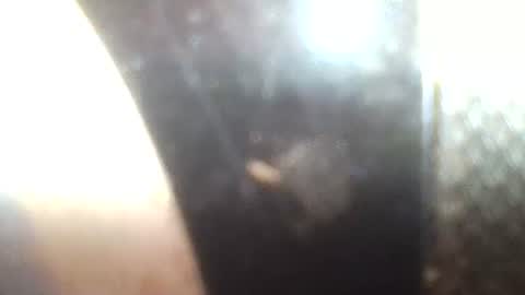 Mrs Venus online show from January 30, 2025, 2:36 pm