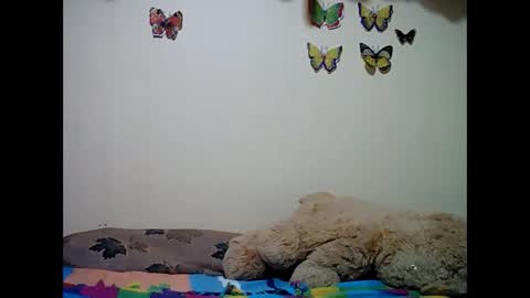 Snapshot of ms_teery chatting on December 8, 2024, 12:30 pm ms_teery online show from December 8, 2024, 12:30 pm