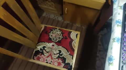 zenon online show from December 20, 2025, 10:06 pm