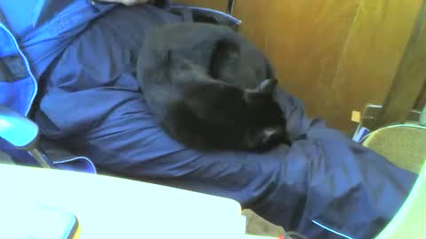 muller520 online show from September 15, 2025, 2:50 pm