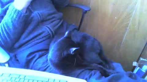 muller520 online show from April 2, 2026, 2:26 pm