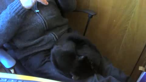 muller520 online show from April 13, 2026, 3:50 pm