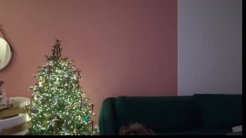 Ivan  online show from January 22, 2025, 5:59 am