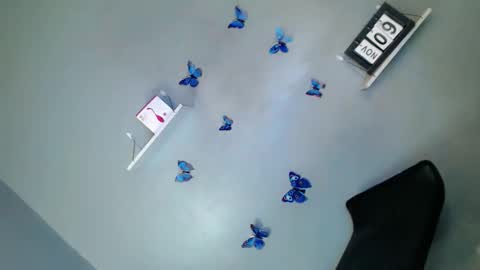 jasmine online show from November 9, 2025, 1:20 pm