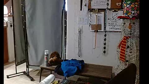 Snapshot of mycock4u247 chatting on December 25, 2024, 10:50 am LA MARIPOSA DE MARICOPA online show from December 25, 2024, 10:50 am