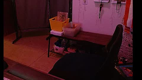 Snapshot of mycock4u247 chatting on January 8, 2025, 8:27 am LA MARIPOSA DE MARICOPA online show from January 8, 2025, 8:27 am