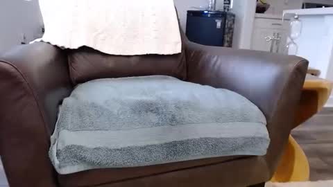 Snapshot of n2deeeep chatting on November 10, 2025, 3:55 pm Lynn online show from November 10, 2025, 3:55 pm