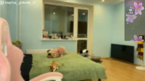 Snapshot of na_prikole_ chatting on October 24, 2025, 5:20 pm Vanessa and Julia  online show from October 24, 2025, 5:20 pm
