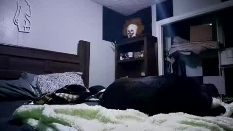 nackjamesontag69 online show from February 7, 2026, 9:35 am