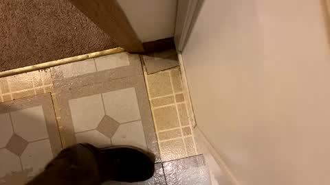 Snapshot of nairda2senoniuq chatting on December 20, 2024, 12:08 am nairda2senoniuq online show from December 20, 2024, 12:08 am