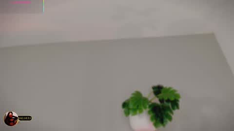 INSTAGRAM  m2221     online show from March 3, 2026, 9:59 am