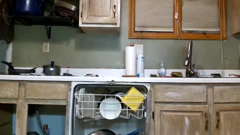 nakednate1780 online show from February 16, 2026, 3:24 am