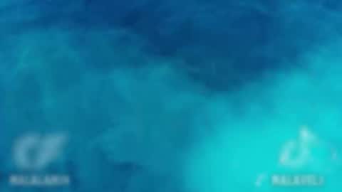 Onlyf4s nalalan29 online show from December 2, 2025, 5:57 am