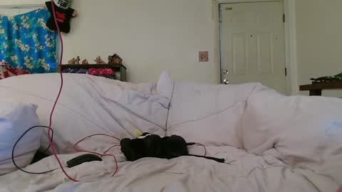 Nanna Baldur online show from December 17, 2024, 8:32 pm