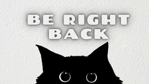 Nataly online show from February 3, 2026, 11:37 am