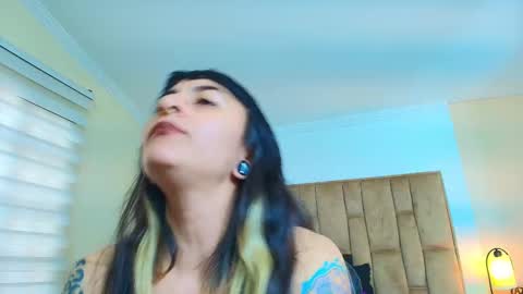 Kitten online show from March 4, 2026, 6:03 pm