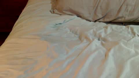 INDY online show from December 26, 2024, 3:10 pm