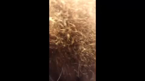 naughtyrebel01 online show from April 24, 2026, 7:55 am