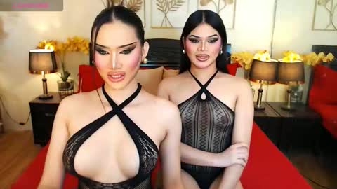 F R A N Z I A online show from February 13, 2026, 8:27 pm