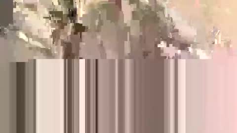 Snapshot of ndsckd chatting on September 12, 2025, 11:54 am ndsckd online show from September 12, 2025, 11:54 am