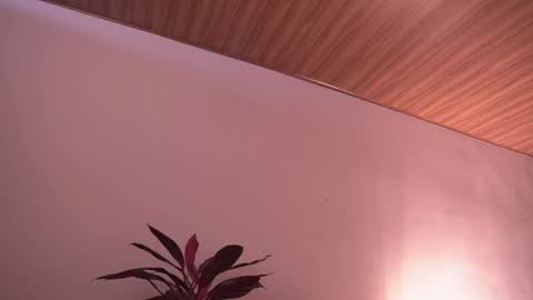 Snapshot of ne_fertari chatting on May 19, 2026, 1:06 pm Nefertari online show from May 19, 2026, 1:06 pm