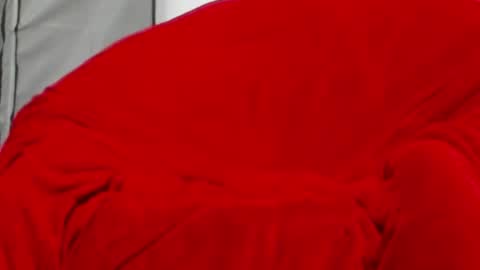 Snapshot of neccesitysexxxxx chatting on June 1, 2026, 7:48 pm neccesitysexxxxx online show from June 1, 2026, 7:48 pm