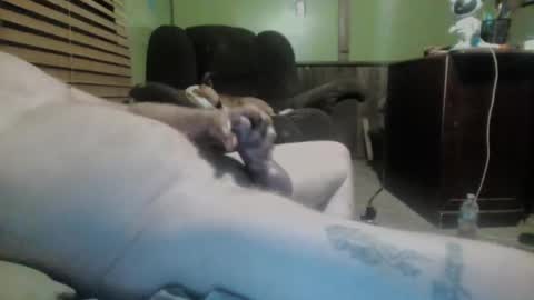 ned is naughty online show from March 7, 2025, 10:24 am