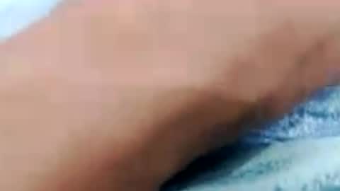 Snapshot of negrett_ chatting on June 6, 2026, 4:12 pm negrett_ online show from June 6, 2026, 4:12 pm