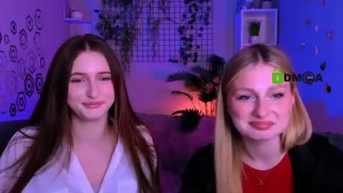 Meow online show from June 10, 2026, 9:41 am