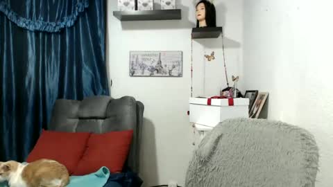 Star  online show from January 21, 2025, 3:37 am