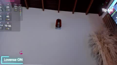 Jordan online show from November 25, 2025, 11:10 am