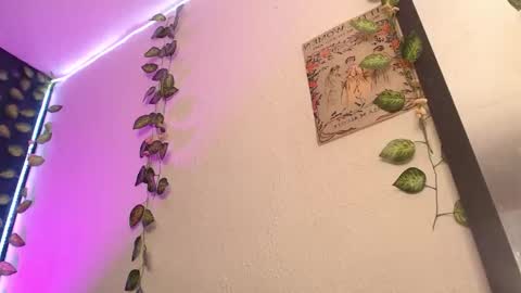  niakat  online show from March 21, 2026, 3:22 am