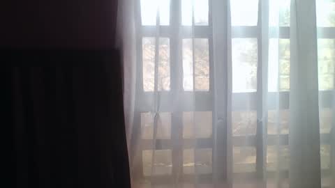 Lilly online show from November 14, 2025, 10:14 am