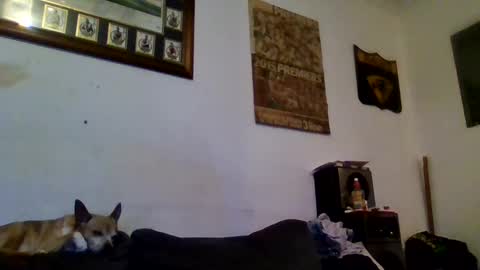 Sexiishaine online show from February 13, 2025, 10:00 pm