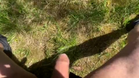 nicle12 online show from May 2, 2026, 10:09 am