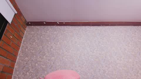 Nicol online show from December 31, 2024, 1:15 am