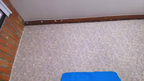 Nicol online show from January 12, 2025, 7:10 pm