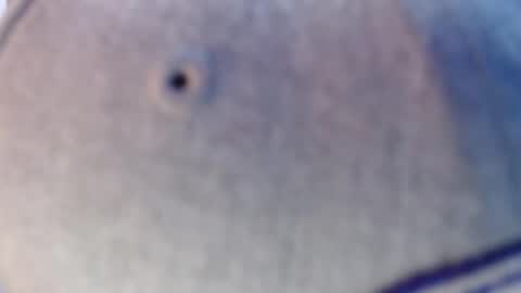 nicolas online show from December 12, 2024, 7:19 am