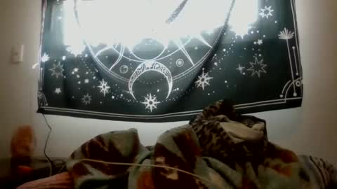 Snapshot of nicolegoodvibes00 chatting on February 25, 2026, 6:17 pm Nicole online show from February 25, 2026, 6:17 pm