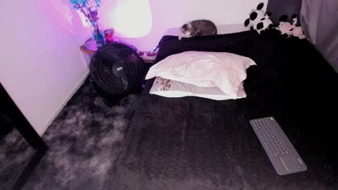 Nicol independent model online show from February 3, 2025, 10:32 pm