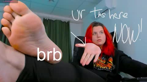 Nellie online show from September 24, 2025, 8:06 am