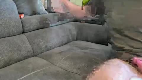 Nightfox778899 online show from February 10, 2026, 8:51 am